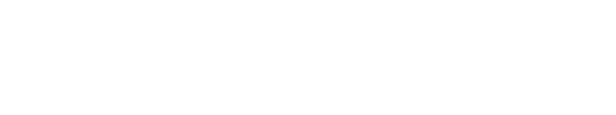 DVOLTT