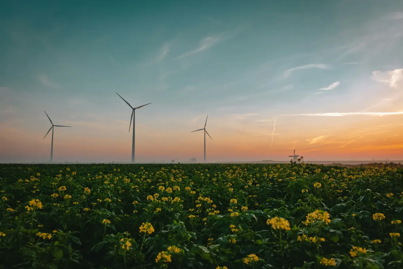 Wind turbines across an open field at sunset